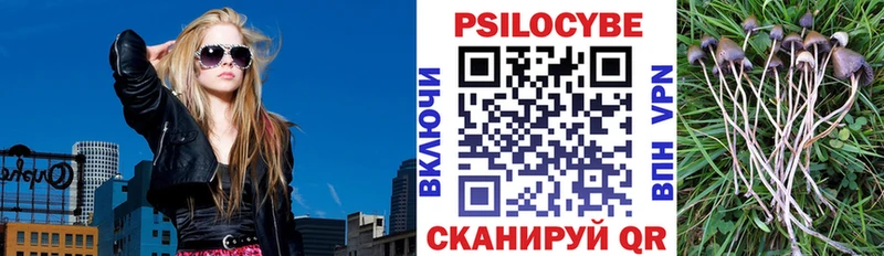 Галлюциногенные грибы Psilocybine cubensis  закладка  Дыгулыбгей 