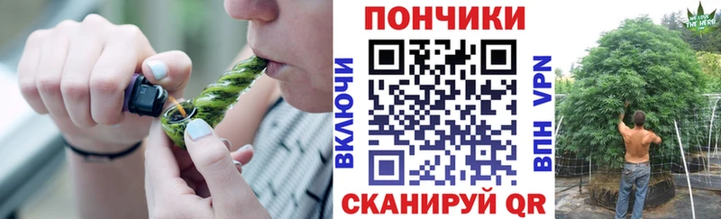 Шишки марихуана индика  Дыгулыбгей 